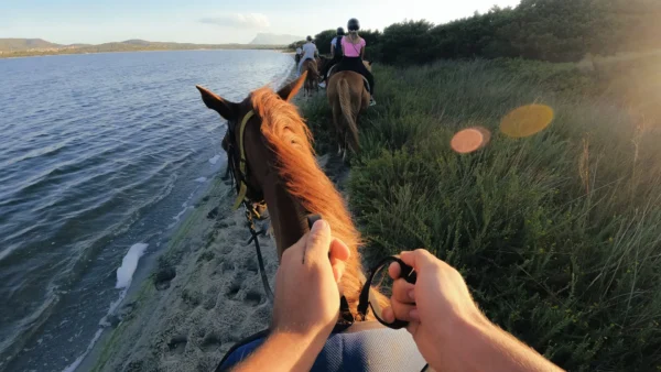 GoPro - Head Strap 2.0
