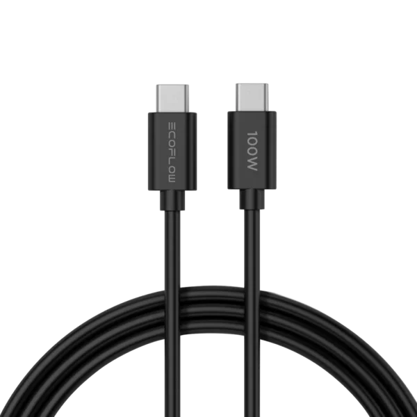 EcoFlow RAPID 65W GaN Laadija 100W Kaabliga