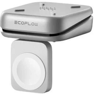 Ecoflow Mag Block